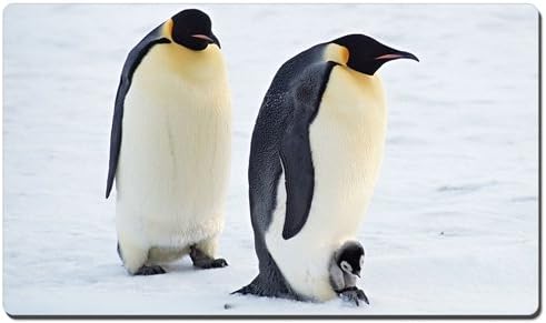 Arctic Penguins Pair XL Size Mouse Pad,Gaming Mouse Pad Mat (13.5x23.5 inches)