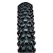 Panaracer Fire XC Wire MTB Tire