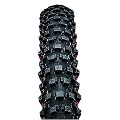 Panaracer Fire XC Wire MTB Tire