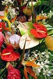 Royal Island Bouquet