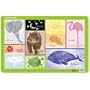 Crocodile Creek Placemat Color of Nature