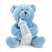 Baby : Its A Boy Teddy Bear