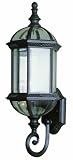 Trans Globe Lighting 4180 BK 22-1/4-Inch 1-Light Outdoor Wall Lantern, Black