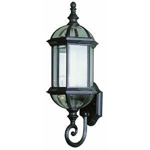Trans Globe Lighting 4180 WH 22-1 4-Inch 1-Light Outdoor Wall Lantern, White by 
