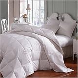 Encore Summer Synthetic Comforter Size: Oversized King
