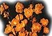Amber Plum Tree Flower Lights 96 Bulbs -Light Garden