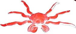 Giant Red King Crab Plush Toy 16"