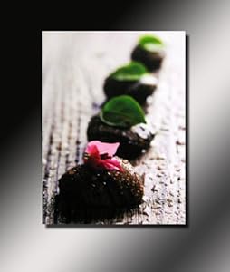 TABLEAU TOILE DECORATIVE ZEN GALETS VEGETAL PEINTURE ACRYLIQUE