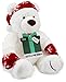 Amazon.com $100 Gift Card with a Holiday Teddy Bear - Limited Edition
