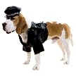 Biker Dog Pet Costume