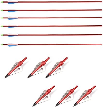 6 Pack 30 Inch High Quality Fiberglass Standard Aluminum Arrows Hunting Target Practice Arrows for Recurve, Compound, or Long bows + Aluminum Arrowhead Archery Set