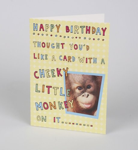 Cheeky Monkey Mirror Card