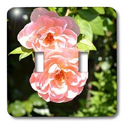 Patricia Sanders Flowers - Pretty Light Pink Roses Flowers Romantic - Light Switch Covers - double toggle switch