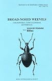 Broad-nosed weevils : coleoptera: curculionidae (entiminae)