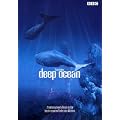 Deep Ocean - Atemberaubende Reise in die faszinierenden Tiefen des Meeres (Amaray)