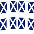 SCOTTISH BURNS NIGHT FLAG BANNER