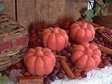 Pumpkin Soy Wax Tart in Cucumber Melon 41ul07mWULL. SL160 Pumpkin Soy Wax Tart in Cucumber Melon
