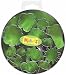 - Makin's Clay Cutter Set 15/Pkg-