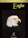 Bald Eagles: Relaxing Ambient Nature Video
