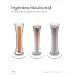 Ingenieurbaukunst in Deutschland. Jahrbuch 2005/2006