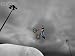 41ulUgnyiPL. SL75  Freestyle Bmx