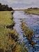 Capturing Light in Acrylics DVD with John Hammond