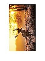 Huella deco Felpudo de Vinilo (Naranja/Multicolor)