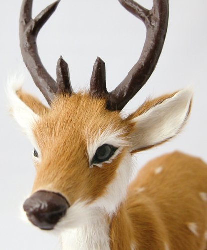 Cover image : リアルな小鹿のオブジェ　BAMBI　【MALE】