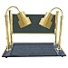 Hanson Heat Lamps CD/200/ST/BR Dual Lamp 20inch x 36inch Brass Carving Station compatible Synthetic Granite Base and Glass Sneeze Guard
