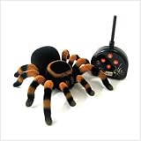 Toys : Tarantula Radio Controlled