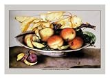 Bowl with Peaches and Plums by Giovanna Garzoni, 18x24