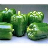 GREEN BELL PEPPERS FRESH FRUIT PRODUCE VEGETABLES BY THE POUND