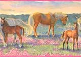 Pink Horsing Around Wallpaper Border