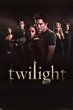 Twilight Movie Poster - 24 x 36 - Cast