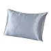 SilkSlip 100% Pure Mulberry Silk Pillowcase with Hidden Zipper for Hair and Skin, 19 Momme 400 Thread Count Hypoallergenic with Cotton Underside, Queen/Standard Size, Light Blue