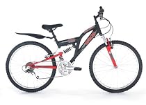Raleigh 24" Wikid Dual Suspension Boys