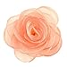 Merdia Women's Lovely Silk Flower Hair Clip Rose Brooches [Jewelry]