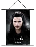 Twilight Jacob Wall Scroll