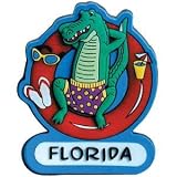 Florida Gator Magnet