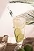 Hummingbird Glass Straws 9 in x 9.5 mm Rainbow Gecko Made With Pride In The USA - Perfect Reusable Straw For Smoothies, Tea, Juice, Water, Essential Oils - With Cleaning Brush