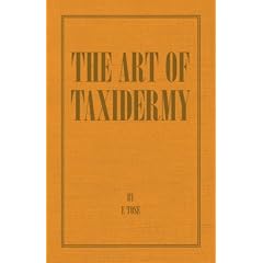 The Art of Taxidermy