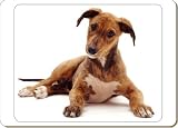 \"LURCHER