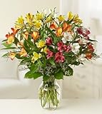 Same Day Flower Delivery One Dozen Peruvian Lilies Arranged in a Vase