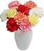 10 Classic Carnations