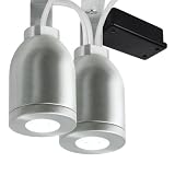Ecolite 2 LED Outdoor Light with Home and Landscape Light Kit
