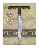 41un7v4qMwL. SL160  Victorias Garden III Art Poster Print by Chariklia Zarris, 13x19