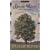 Spoon River Anthology (Signet Classics)