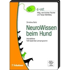 NeuroWissen beim Hund