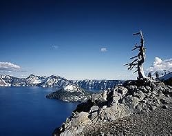 Azure Blue Crater Lake in Oregon - Vivid 16"x20" Photographic Print by Carol M. Highsmith