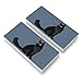 Maine Coon Cat Eraser Set of 2